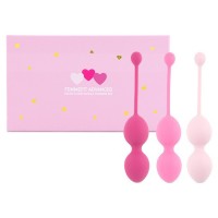 Kit de Entramiento Femmefit...