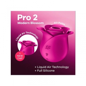Pro 2 Modern Blossom