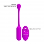 Lechies Control Remoto USB