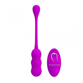 Leshy Control Remoto USB