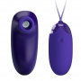 Succionador y Huevo Vibrador