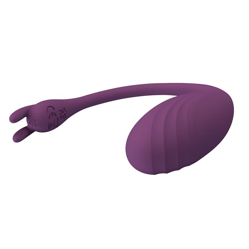 Catalina APP