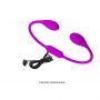 Dream Lovers Whip