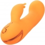 Montecito Muse Vibrador Rabbit