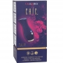 Chic Tulip