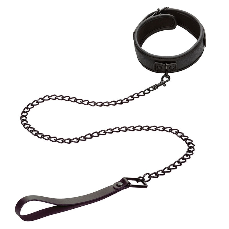 Collar y Correa Nocturnal