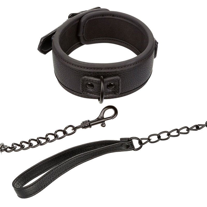 Collar y Correa Nocturnal