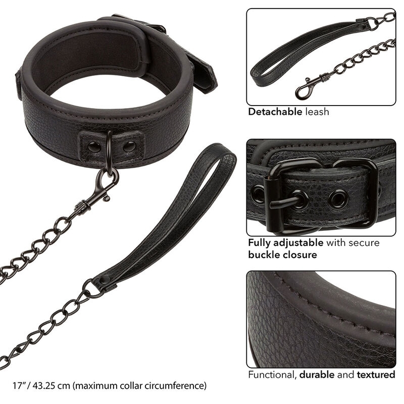 Collar y Correa Nocturnal
