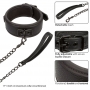 Collar y Correa Nocturnal