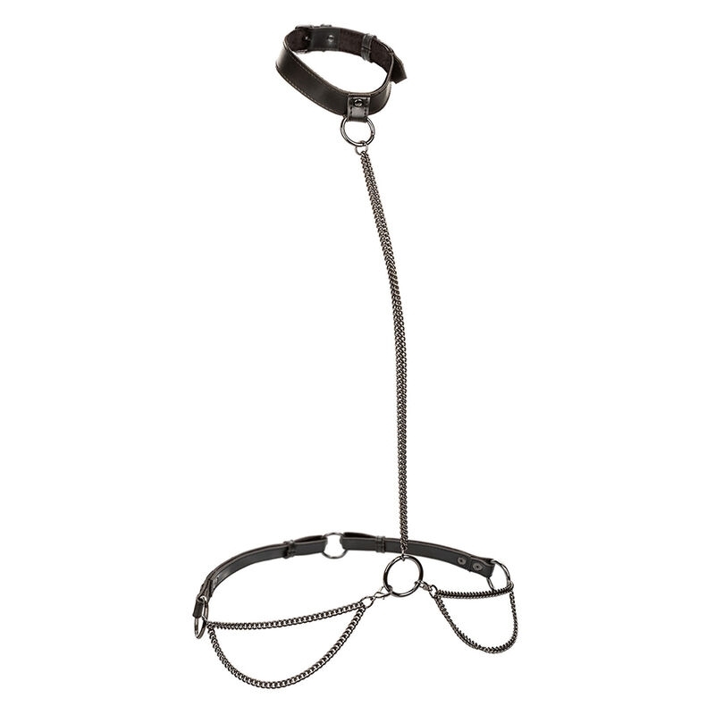 Euphoria Chain Halter Collar & Leash