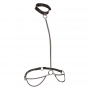 Euphoria Chain Halter Collar & Leash