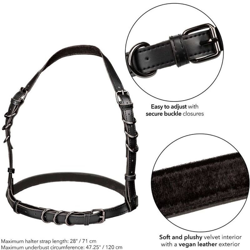 Euphoria Halter Buckle Harness