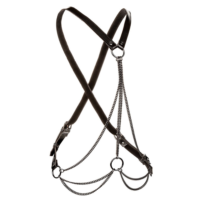 Euphoria Multichain Harness Premium