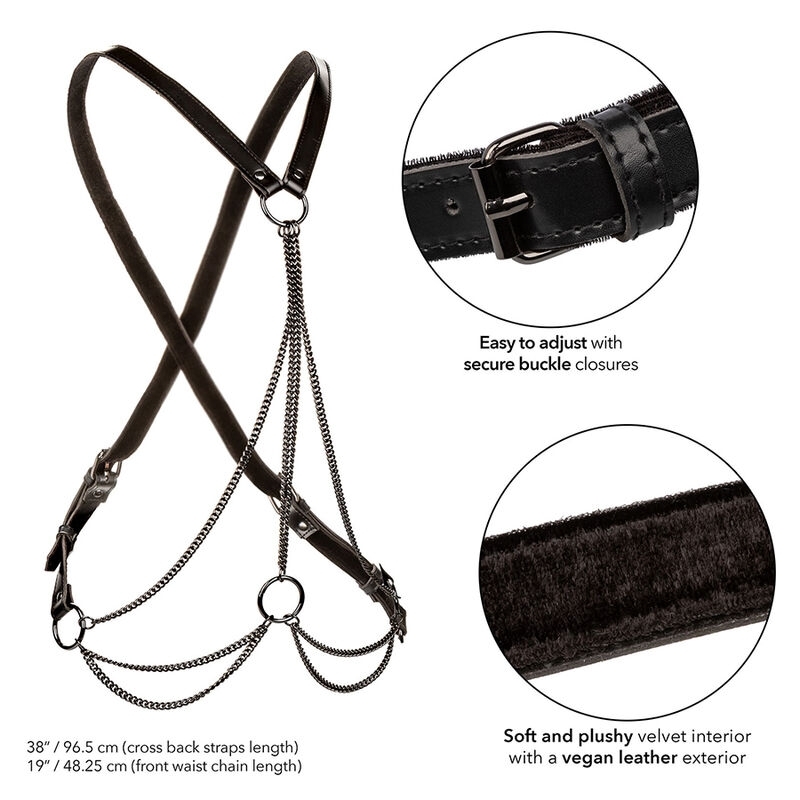 Euphoria Multichain Harness Premium