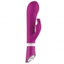 Bwild Deluxe Bunny