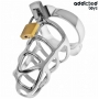 Silver Lock Cage