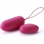 Remote Wireless Personal Massager