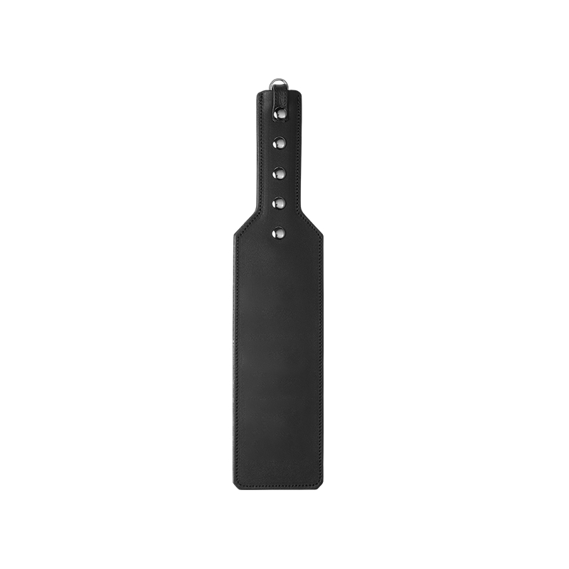 ElectraPaddle