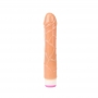 Vibrador Multi Velocidad 23 cm Púrpura