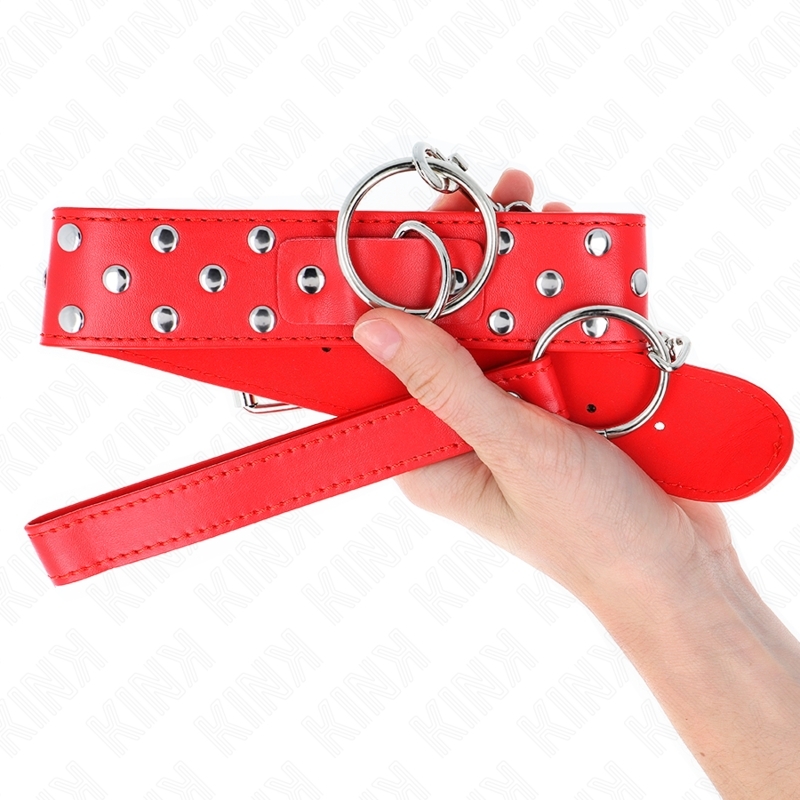 Collar de sujeción con anilla y correa de arrastre ajustable 36-50 x 3,8 cm y correa 65 cm