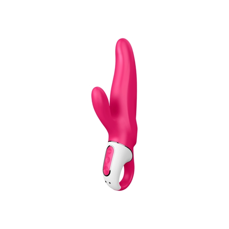 Mr. Rabbit