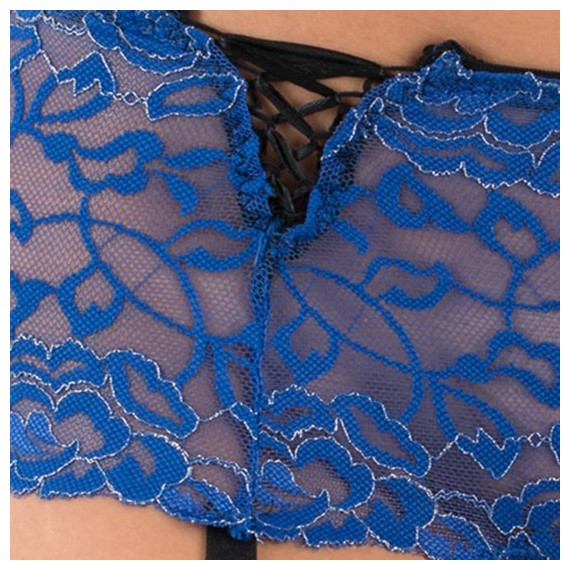 Ligueros Gazania Azul